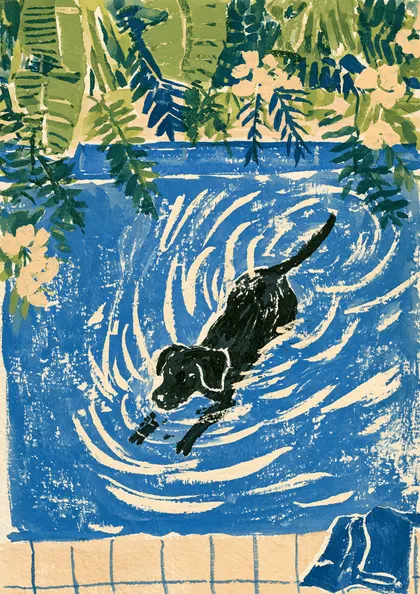 Black Dog Swimming Pool Linocut Print