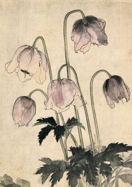 Drooping Pink Flower Ink Wash Print